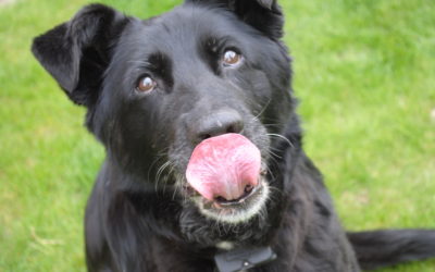 Einige unsere Partner